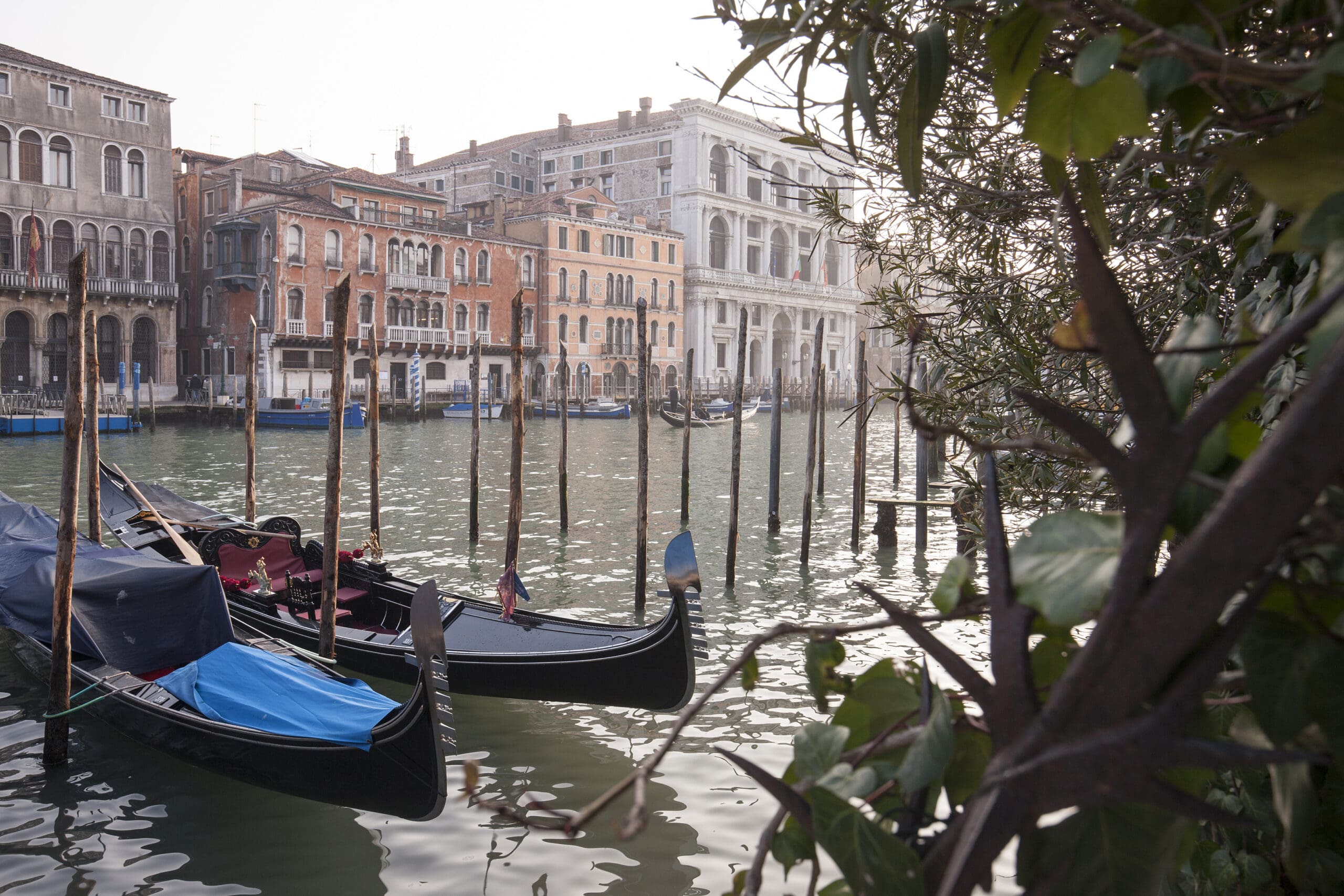 Residenza degli Angeli - Venezia